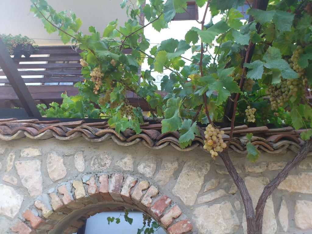 Villa Nasco Aranyhomok Kültér fotó